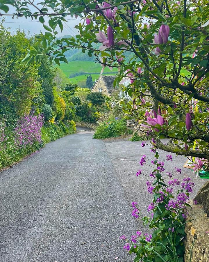 Cotswold Coombe Cottage Wotton-under-Edge Kültér fotó